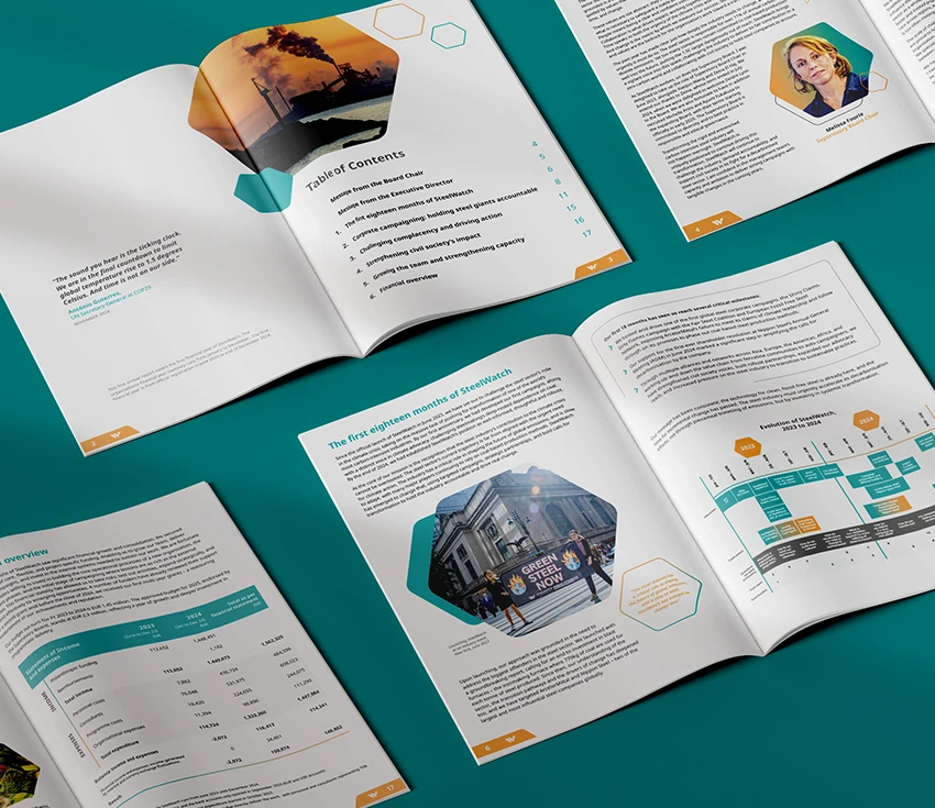 SteelWatch Report Layout